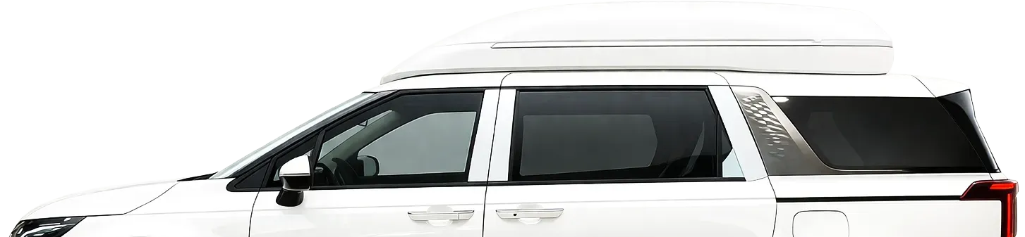 carnival.-top carnival.-top